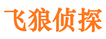 全椒市调查取证